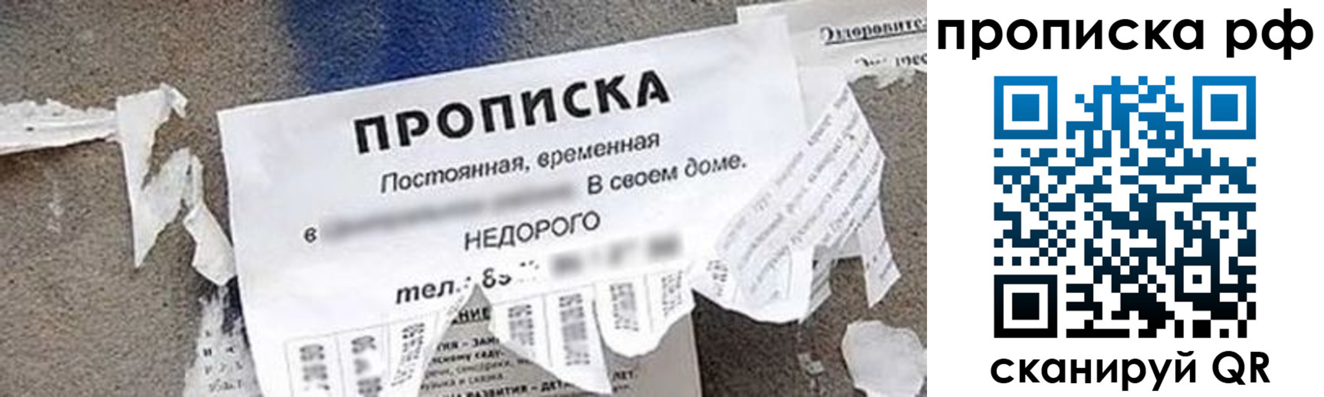 где прописаться в Заволжье